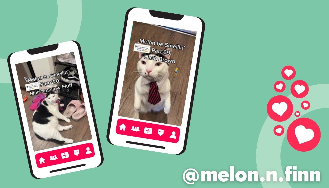 content creators melon and finn